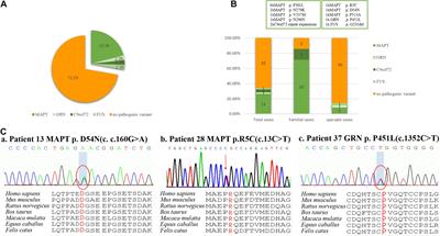 The Frequency of Genetic Mutations Associated With Behavioral Variant Frontotemporal Dementia in Chinese Han Patients